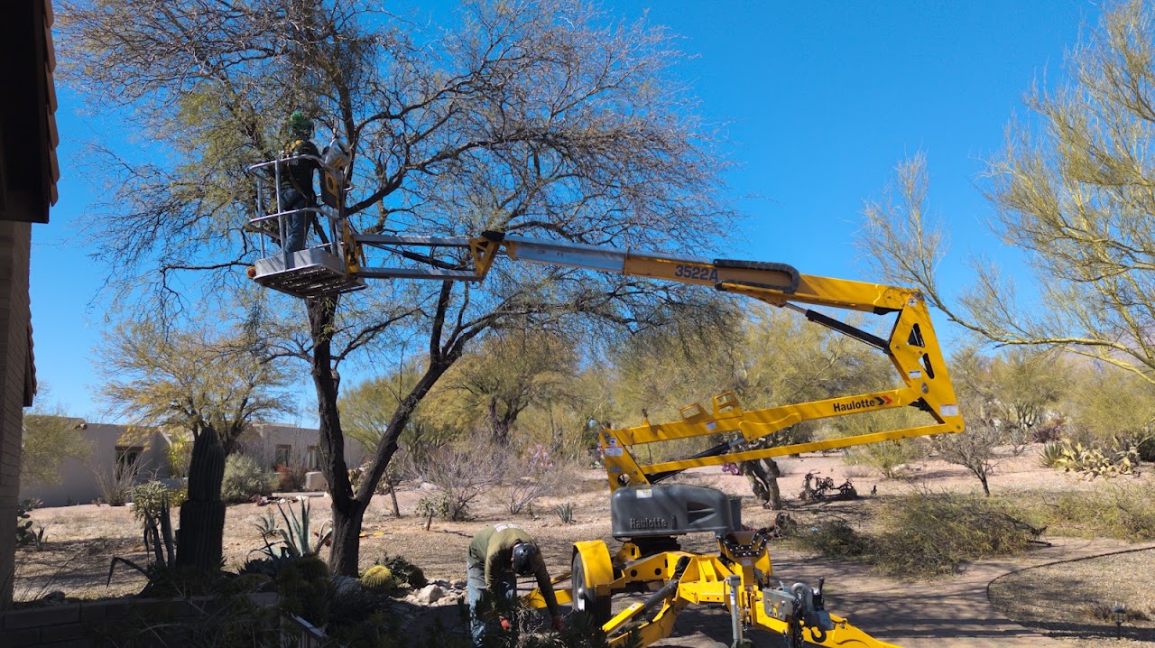Transformed Trees & Landscaping LLC project